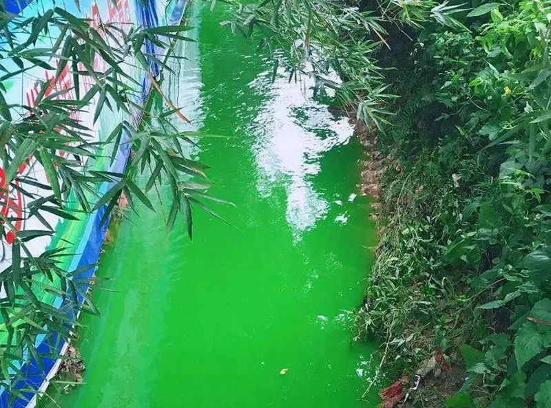觸目驚心!水全都“染綠”了!多家企業被查處! 觸目驚心!水全都“染綠”了!多家企業被查處!